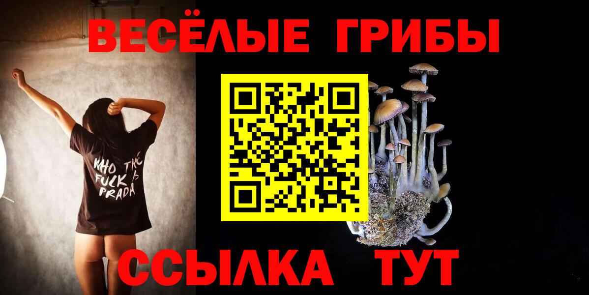 Псилоцибиновые грибы мухоморы  Вход с VPN  Галлюциногенные грибы ЛСД  где продают наркотики  Сланцы 